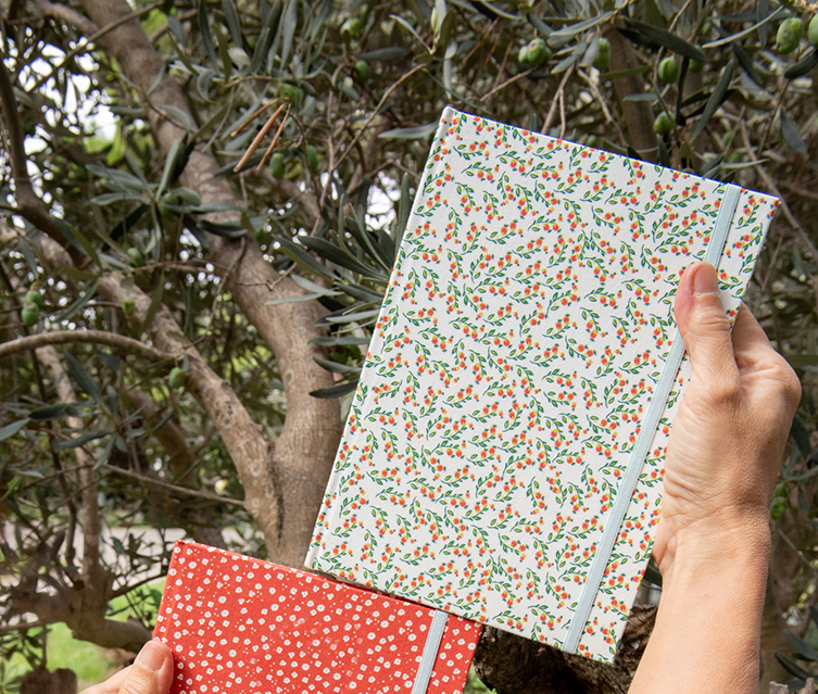 8f41ce_06dc891c7e074d01b69a148fd429453dmv2