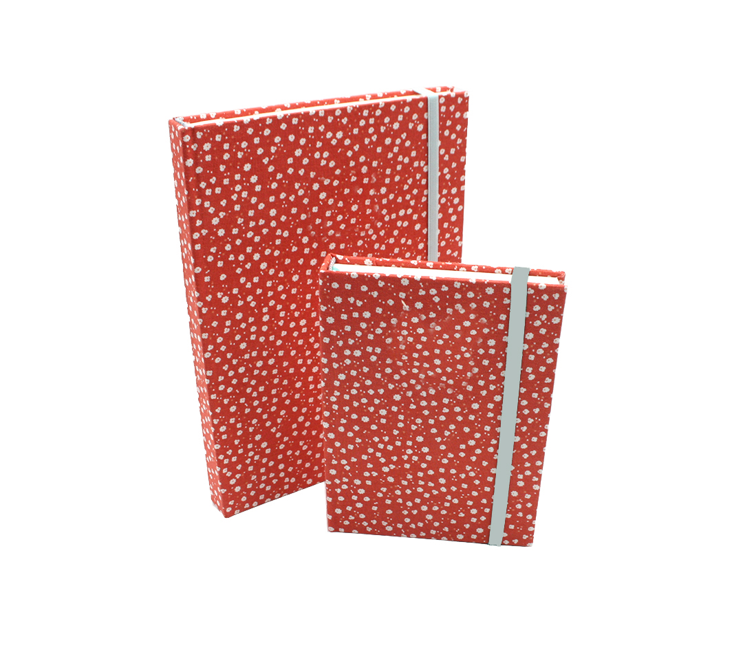 8f41ce_4b55f27f2fc94999905418a50159ea04mv2