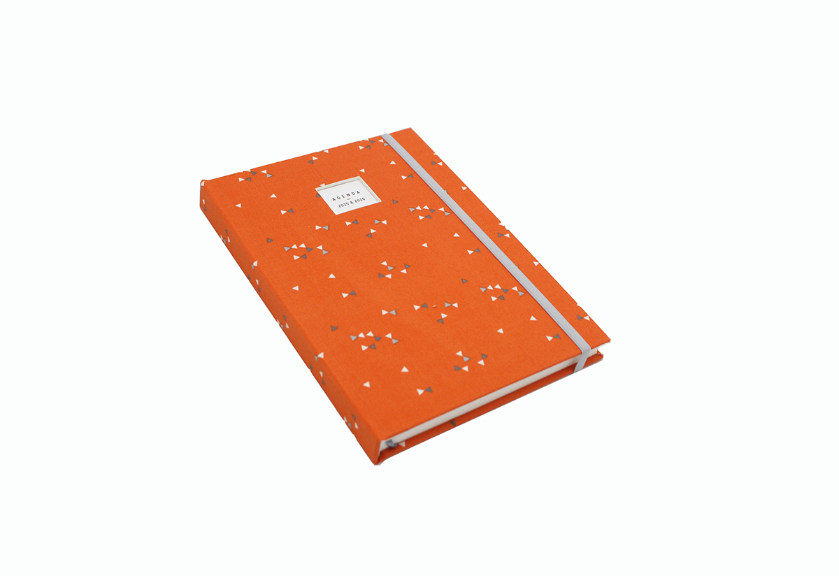 8f41ce_76a91732bf2e4fa8a88bf3cfc34b34eemv2