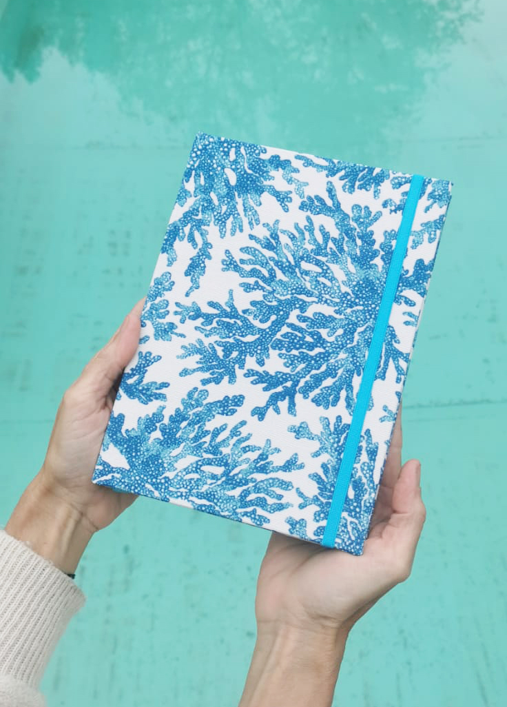 8f41ce_7e01dd31fcb4427daaa76fe41f9ccf12mv2