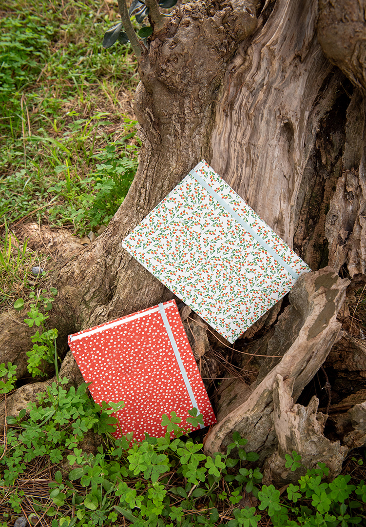 8f41ce_7f2b89e06c714f90946b5414b252e866mv2