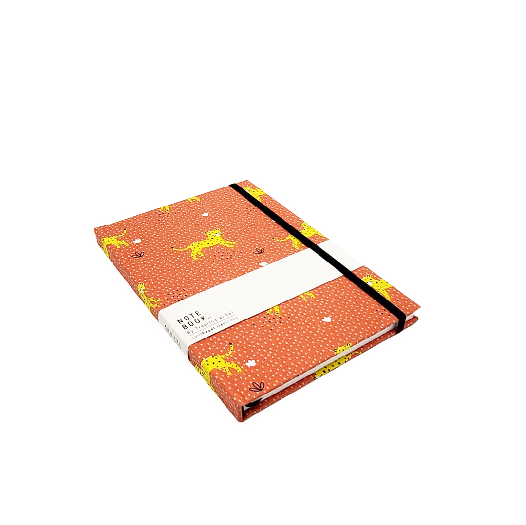 8f41ce_93dd2a57740e46349a9f8db0f93e8623mv2