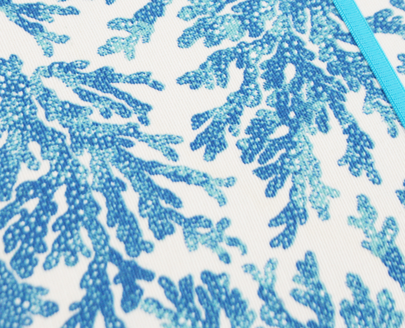 8f41ce_bb918da577ce4942a499fbdf4d44eb66mv2