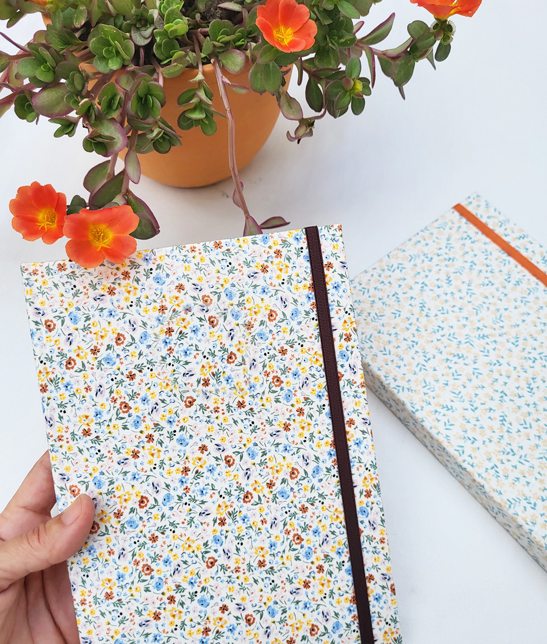 8f41ce_f274cb07cb5e4d8d97015018807949cemv2